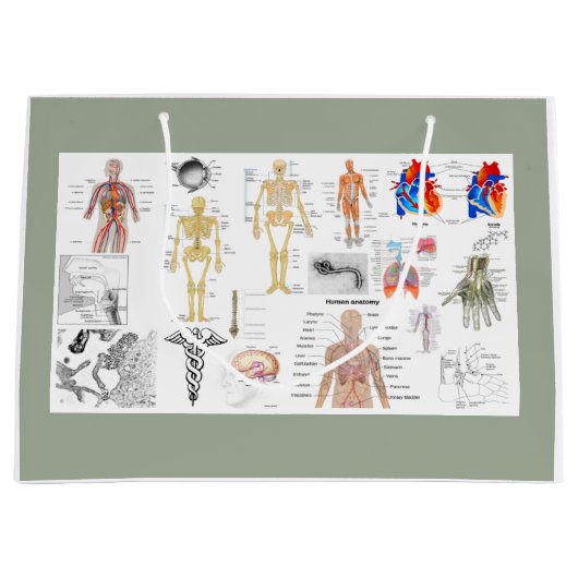 Grand Sac Cadeau Human Anatomy Charts (Devant)