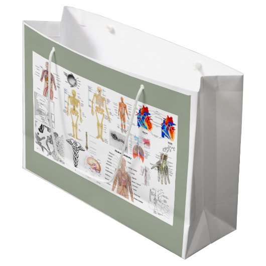 Grand Sac Cadeau Human Anatomy Charts (Devant Angle)