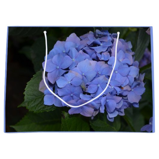 Grand Sac Cadeau Hydrangea macrophylla Violet Rustique (Devant)