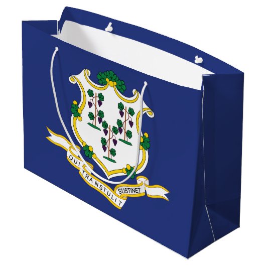 Grand Sac Cadeau Indicateur d'état Connecticut (Dos Angle)