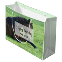 Joli Cheval Brown allongé dans l'herbe Anniversair
