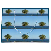 GRAND SAC CADEAU JOYEUX FLORIDES (Devant)