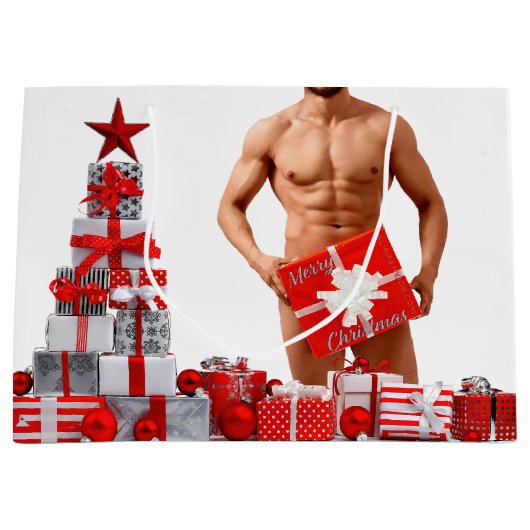 Grand Sac Cadeau Joyeux Noël SlipperyJoe cadeau blanc rouge argent (Devant)