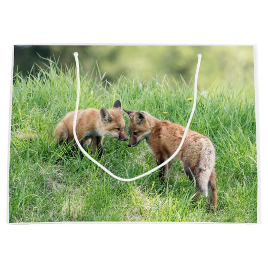 Grand Sac Cadeau Kits Red Fox (Devant)