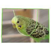 Grand Sac Cadeau Kiwi (Dos)