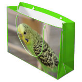 Grand Sac Cadeau Kiwi (Dos Angle)