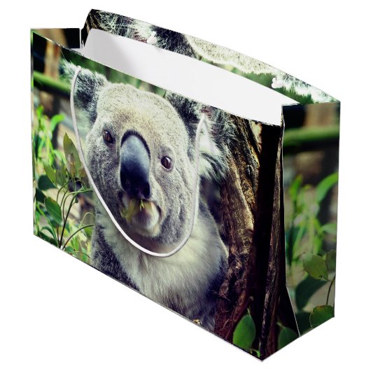 Grand Sac Cadeau Koala Bears (Dos Angle)