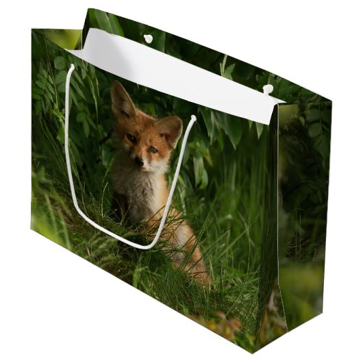 Grand Sac Cadeau Le chou renard dans une forêt verte (Devant Angle)