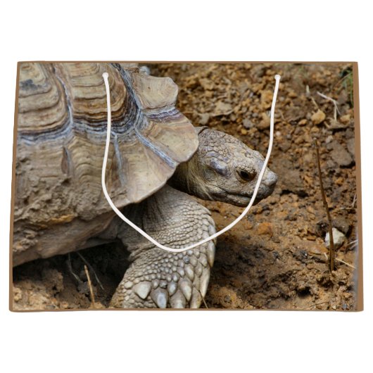 Grand Sac Cadeau Lent (Devant)