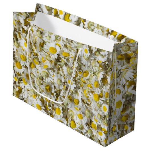 Grand Sac Cadeau Les Fauves (Devant Angle)