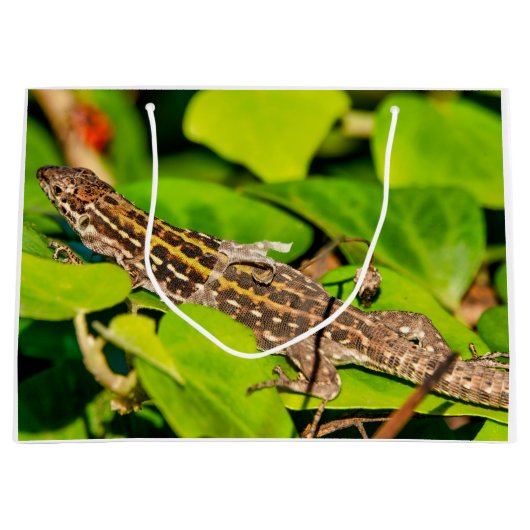 Grand Sac Cadeau Lézard italien (Devant)