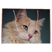 Grand Sac Cadeau M. Handsome (Dos)