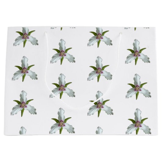 Grand Sac Cadeau Motif Fleur sauvage de printemps Trillium peint (Devant)