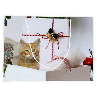 Grand Sac Cadeau Noël à chaton à tabby orange