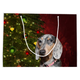 Grand Sac Cadeau Noël Dachshund applaudi
