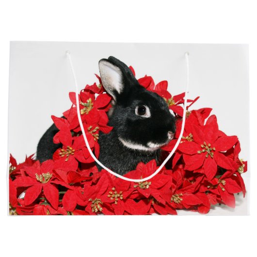 Grand Sac Cadeau Noël de lapin (Dos)