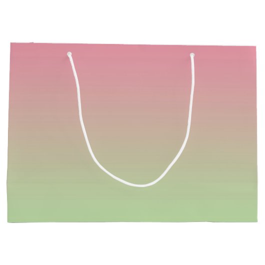 Grand Sac Cadeau Ombre rose et vert (Dos)