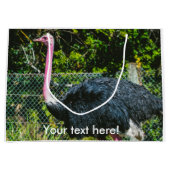 Grand Sac Cadeau Ostrich (Devant)