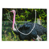 Grand Sac Cadeau Ostrich (Dos)
