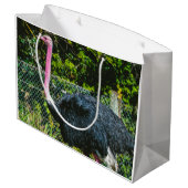 Grand Sac Cadeau Ostrich (Dos Angle)