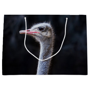 Grand Sac Cadeau ostrich portrait