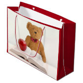 Grand Sac Cadeau Ours de nounours instruit (Devant Angle)