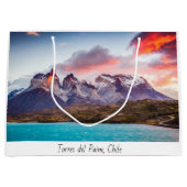 Grand Sac Cadeau Patagonie (Devant)