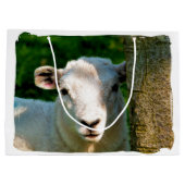 GRAND SAC CADEAU PETIT MOQUETTE (Dos)