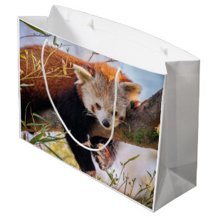 Grand Sac Cadeau Petit panda rouge pâle
