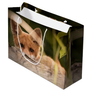 Grand Sac Cadeau Photo de Cute Little Orange Fox