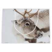 Grand Sac Cadeau Photo de la nature des rennes (Devant)