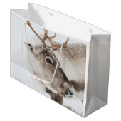 Grand Sac Cadeau Photo de la nature des rennes (Devant Angle)