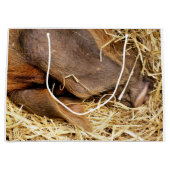 GRAND SAC CADEAU PIÈCES (Devant)