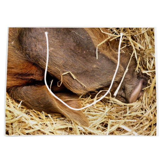 GRAND SAC CADEAU PIÈCES (Devant)