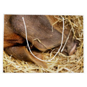 GRAND SAC CADEAU PIÈCES (Dos)