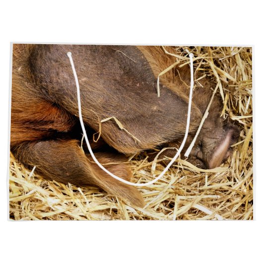 GRAND SAC CADEAU PIÈCES (Dos)