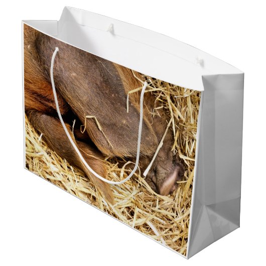 GRAND SAC CADEAU PIÈCES (Dos Angle)