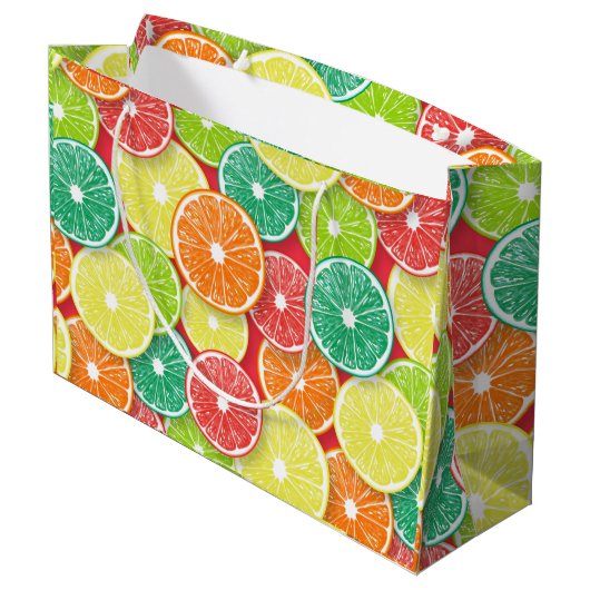 Grand Sac Cadeau Pièces de fruits d'agrumes pop art 2 (Dos Angle)