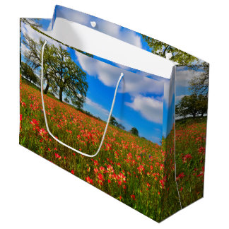 Grand Sac Cadeau Pinceau indien