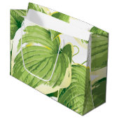 Grand Sac Cadeau Plante de ficus 2 (Devant Angle)