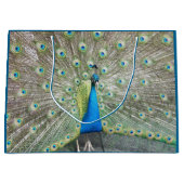 Grand Sac Cadeau Plumage bleu Peacock (Devant)