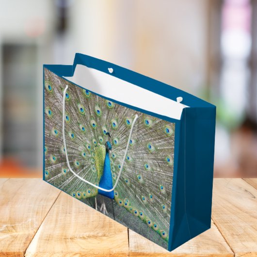 Grand Sac Cadeau Plumage bleu Peacock
