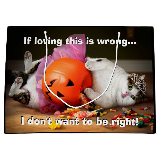 Grand Sac Cadeau Princesse Chat avec seau à bonbons (Devant)