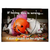 Grand Sac Cadeau Princesse Chat avec seau à bonbons (Dos)