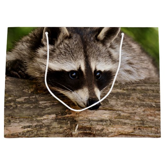 Grand Sac Cadeau Raccoon mignon reposant sur un journal (Devant)