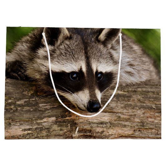 Grand Sac Cadeau Raccoon mignon reposant sur un journal (Dos)