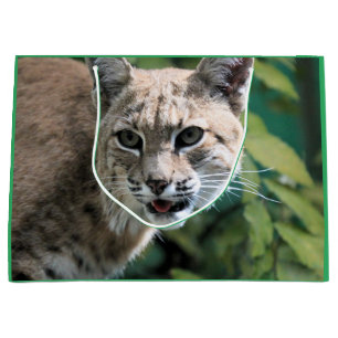 Grand Sac Cadeau Robert J. Bobcat