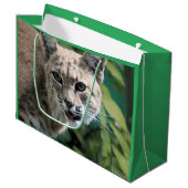 Grand Sac Cadeau Robert J. Bobcat (Devant Angle)