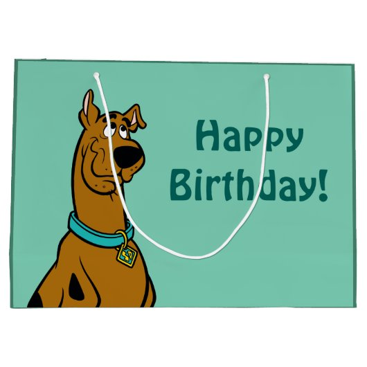 Grand Sac Cadeau Scooby Doo Chiot Yeux (Dos)