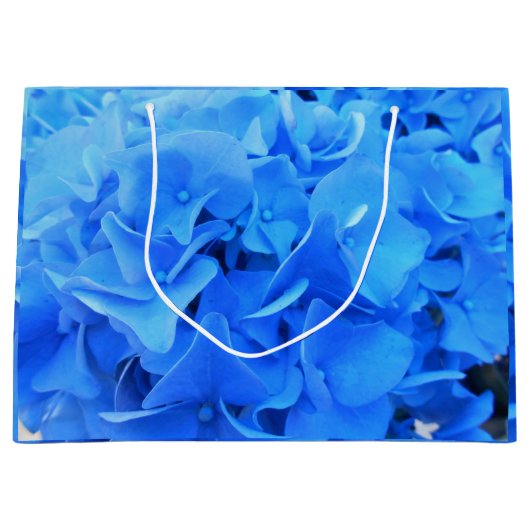 Grand Sac Cadeau Sérapine (Devant)